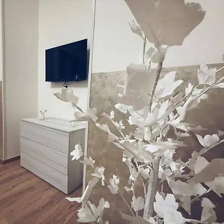Apartment Sweet 208